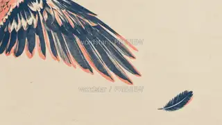 未合拢的翅 · 插画 图像