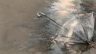 雨停以后 · 插画 图像