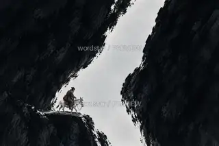 白驴过隙