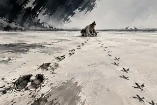 万物各有迹 · 插画 图像