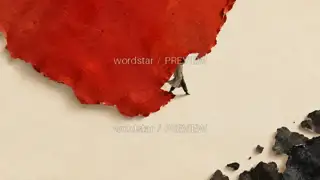 借过这片红 · 插画 图像