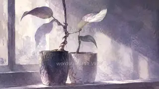 窗台两株 · 插画 图像