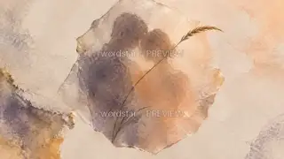玻璃里的风 · 插画 图像
