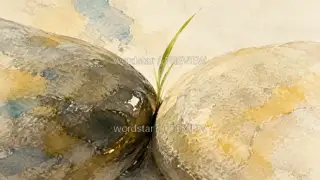 石头会记住 · 插画 图像