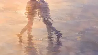 同一块倒影 · 插画 图像